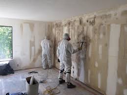 Southaven, MS Mold Inspection Company